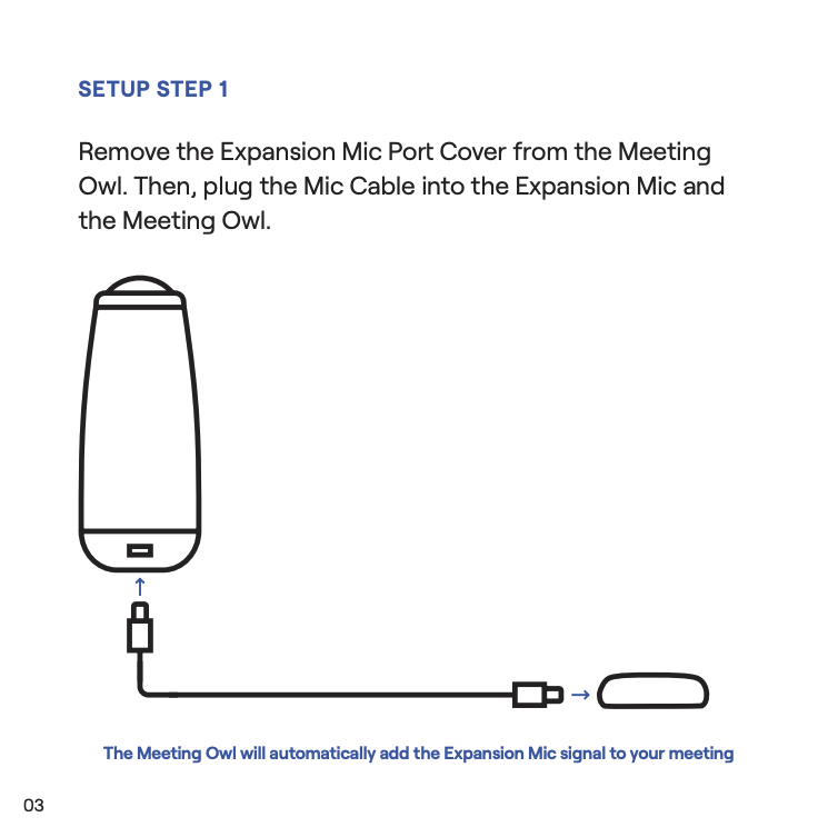 Expansion Mic Setup Guide